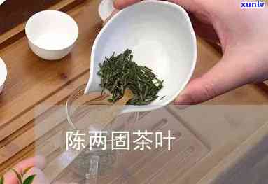 二陈茶配方两固名茶-二陈茶药方