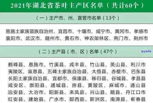 湖北恩名茶全览：店铺推荐与介绍