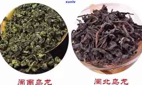 探究闽南与闽北茶的异同：代表品种及口感比较