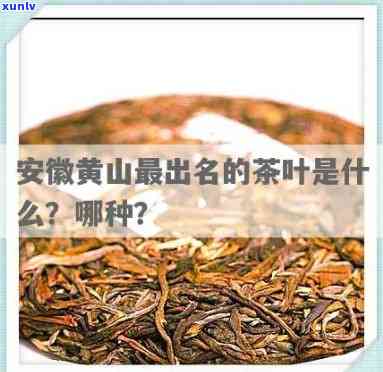 安徽黄山所产的名茶中的品种是什么？