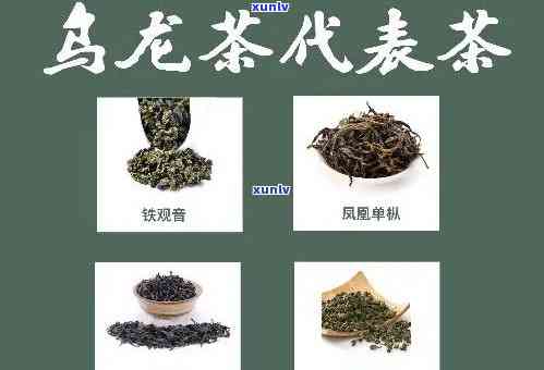 六大茶类的名优代表，品味无穷：六大茶类的名优代表一览