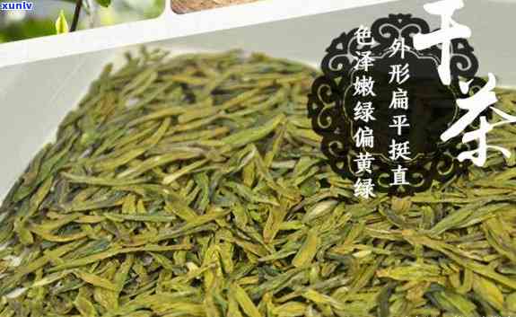 浙江名茶大全：探究优质茶叶的源头