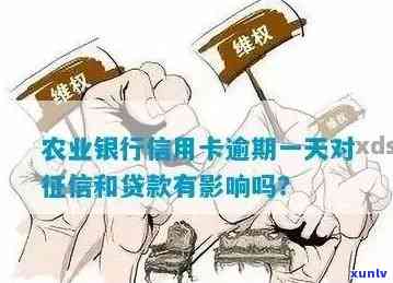 农业银行一次逾期-农业银行一次逾期怎么办