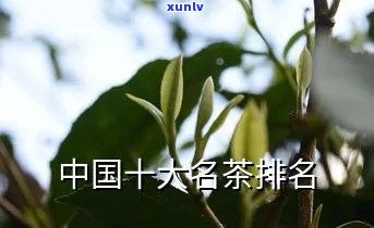 飘阳绿的翡翠贵吗-飘阳绿的翡翠贵吗值钱吗