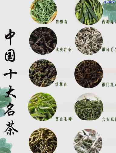 中国的名茶品种大全：详细介绍与排名