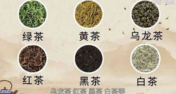 中国的名茶有多少种？探究中国丰富多样的茶叶品种