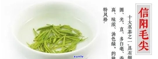 信阳的名茶是什么?-信阳的名茶是什么茶