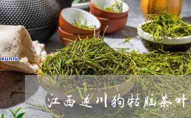 江西狗牯脑茶1915绿茶价格全览：金奖品质，详细价格表