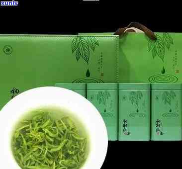 江西狗牯脑茶1915绿茶价格全览：金奖品质，详细价格表