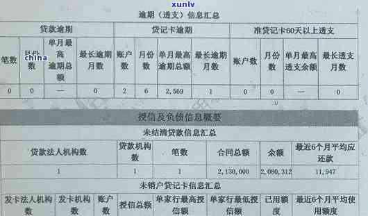 怎样撰写招商核实逾期情况报告？详细步骤与说明