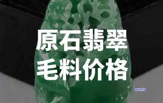 仪陇翡翠毛料市场：价格走势分析与投资建议