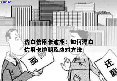 如何正确泡制小罐茶滇红茶？解答用户关于泡法、水量、时间等方面的疑问