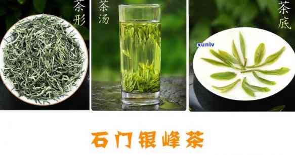 门的名茶属于什么茶类？