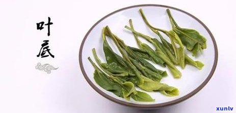 黄山的名茶是什么茶-黄山的名茶是什么茶?