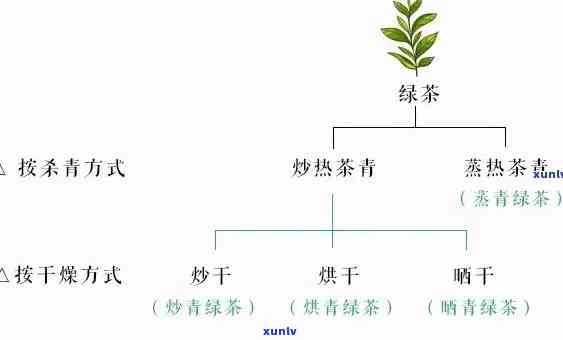 乌岽名茶属于什么茶-乌岽名茶属于什么茶,怎么识别价格