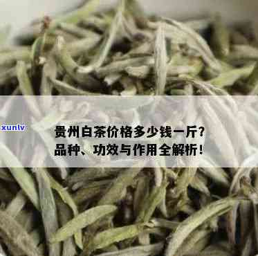 贵州名茶多少钱一斤？最新价格查询！