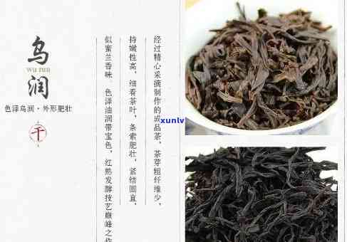 乌岽茗茶多少钱一盒？了解其生态属性及分类