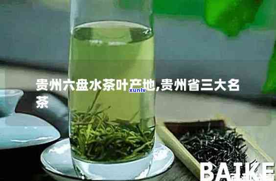 贵州三大名茶及价格-贵州省三大名茶价格