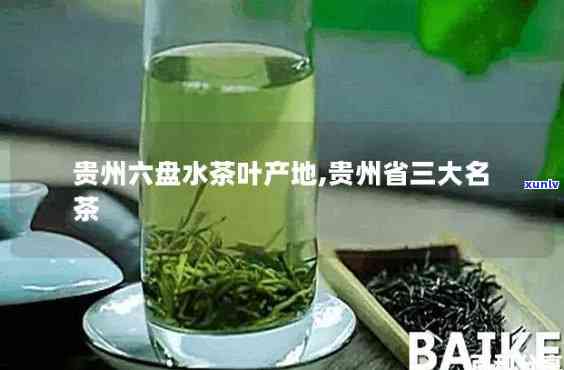 贵州三大名茶及价格-贵州省三大名茶价格