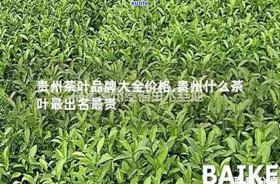 贵州省三大名茶价格-贵州三大名茶及价格