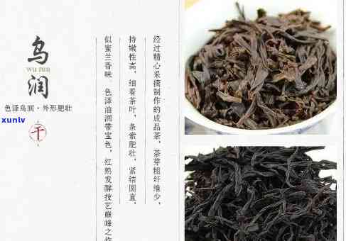 乌岽名茶的作用与分类：品种、功效及市场价格全解析