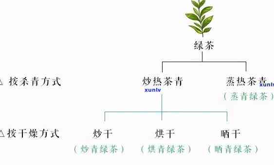 乌岽名茶的作用与分类：品种、功效及市场价格全解析