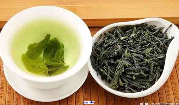 中国10大名茶产地：探索茶叶的故乡