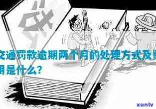 交通逾期两个月怎么办？怎样解决？