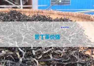 海南名茶苦丁茶价格表：最新款式与图片全览