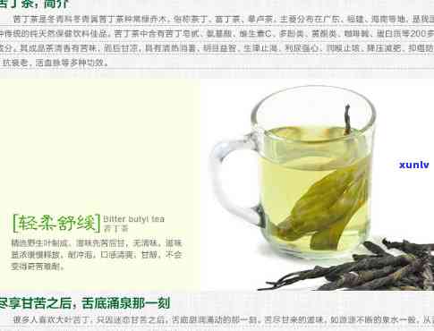 海南名茶苦丁茶价格-海南名茶苦丁茶价格表