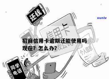 冰岛古树白茶价格，探索冰岛古树白茶的价格与价值