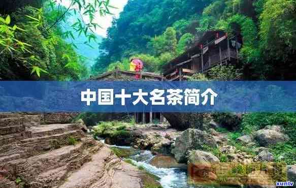 全国名茶加盟排行榜-全国名茶加盟排行榜前十名