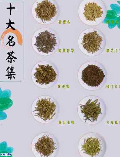 十大名茶是哪些茶种-十大名茶是哪些茶种类