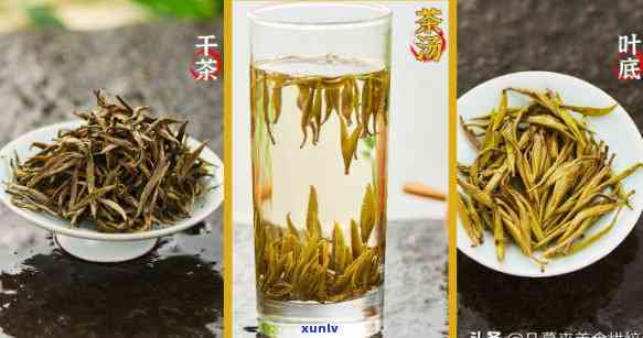 最新十大名茶有哪些品种，探秘茶叶世界：揭晓最新十大名茶品种