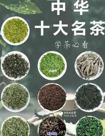 最新十大名茶有哪些-最新十大名茶有哪些品种