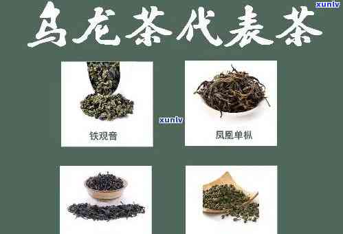 四大名茶都是哪四种茶，探秘中国茶文化：四大名茶究竟指的是哪四种茶叶？