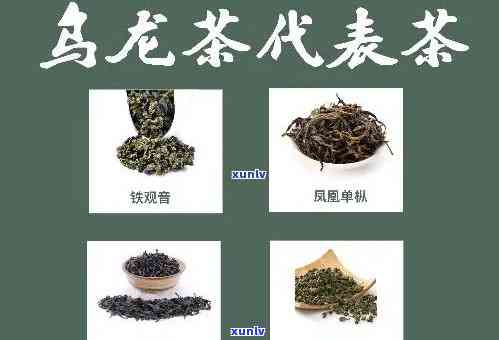 六大名茶是什么茶类的，探秘中国茶文化：了解六大名茶的种类和特点