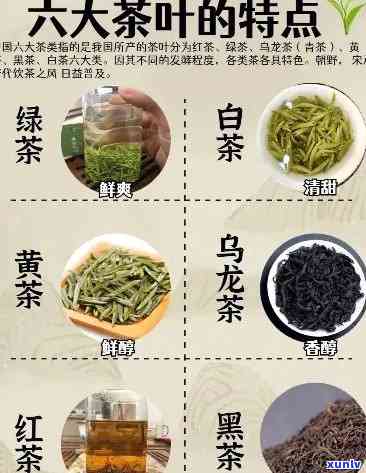 云南七子普洱茶饼多少钱一个 价格分析