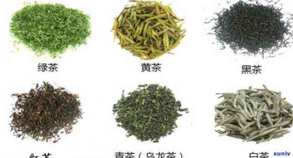 六大名茶是什么茶类的，探秘中国茶文化：了解六大名茶的种类和特点