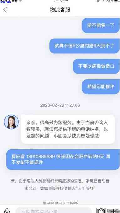 '豆底飘绿翡翠价格：翡翠豆底含义解析与市场价值评估'