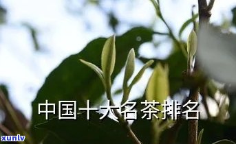 十大名茶最新排名：中国、世界全面解析