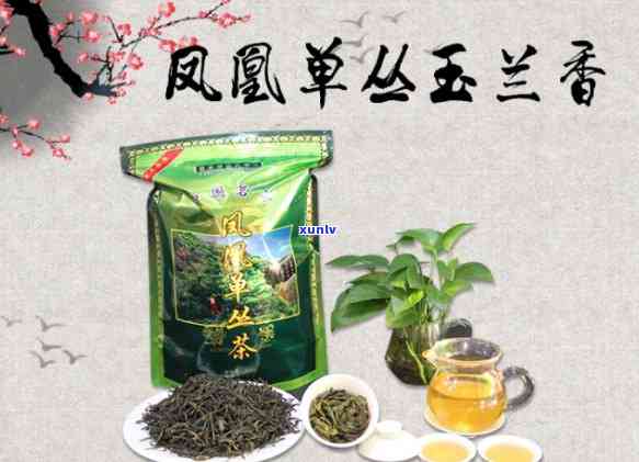 潮州出名的茶叶品种及一览