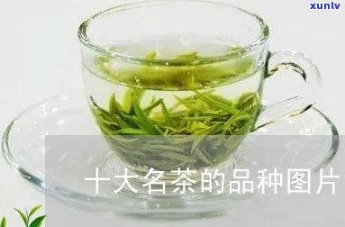 十大名茶介绍图片大全高清