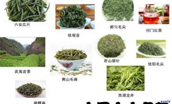 十大名茶，品味中国：探秘十大名茶的独特魅力