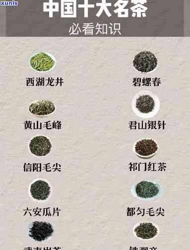 探究中国名茶前十名：究竟哪些茶叶名列其中？