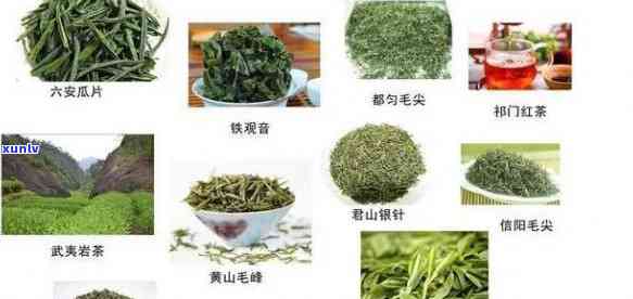 贵州十大名茶全解析