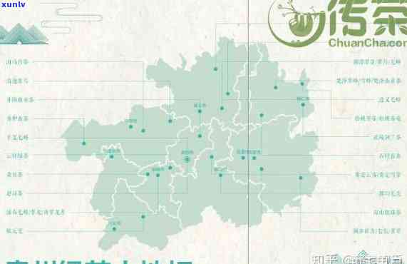 贵州十大名茶及产地全揭秘：品种、一网打尽！