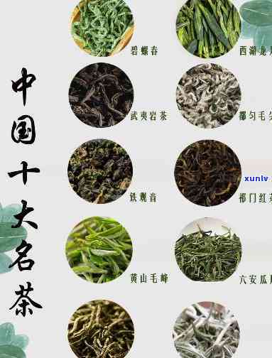 中国十大名茶介绍稿，品味华之美：详解中国十大名茶的独特魅力