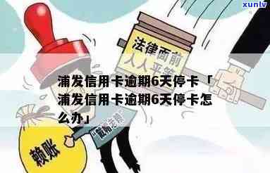 浦发逾期被停卡了怎么办，信用卡逾期引起浦发银行停卡？教你怎样解决