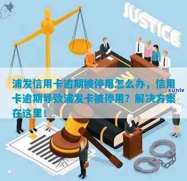 浦发逾期被停卡了怎么恢复，信用卡逾期后，怎样恢复浦发银行的信用卡采用？